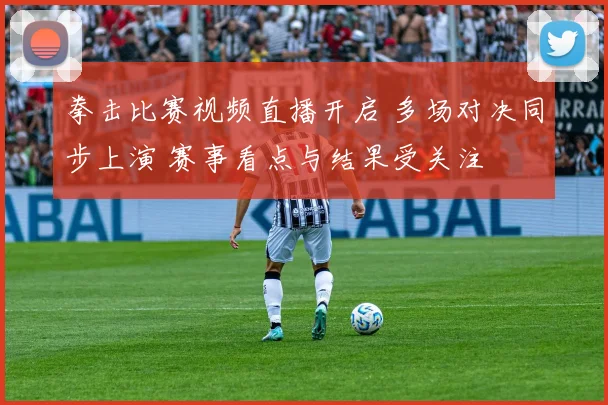 拳击比赛视频直播开启 多场对决同步上演 赛事看点与结果受关注