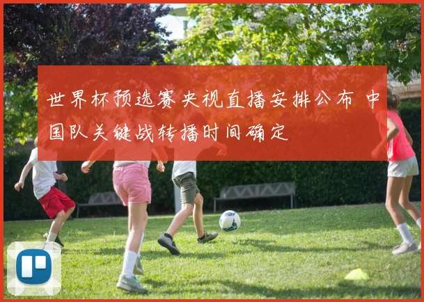 世界杯预选赛央视直播安排公布 中国队关键战转播时间确定