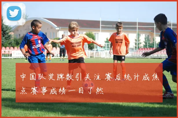 中国队奖牌数引关注 赛后统计成焦点 赛事成绩一目了然