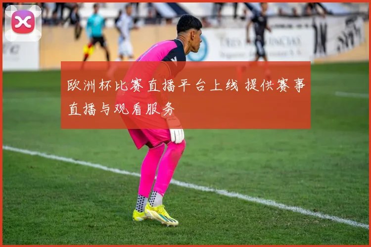 欧洲杯比赛直播平台上线 提供赛事直播与观看服务