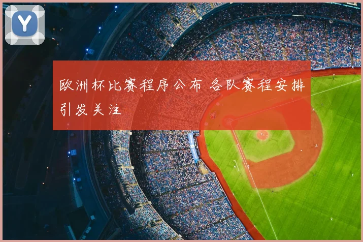 欧洲杯比赛程序公布 各队赛程安排引发关注