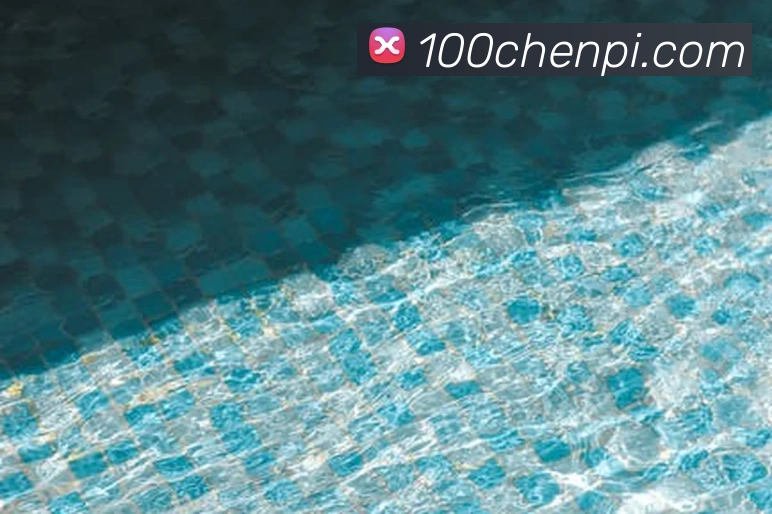 世界杯指定官网APP 封面图